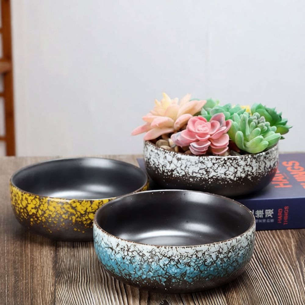 Large Mouth Ceramic Succulent  - Bonsai Garden Art 评论和价格