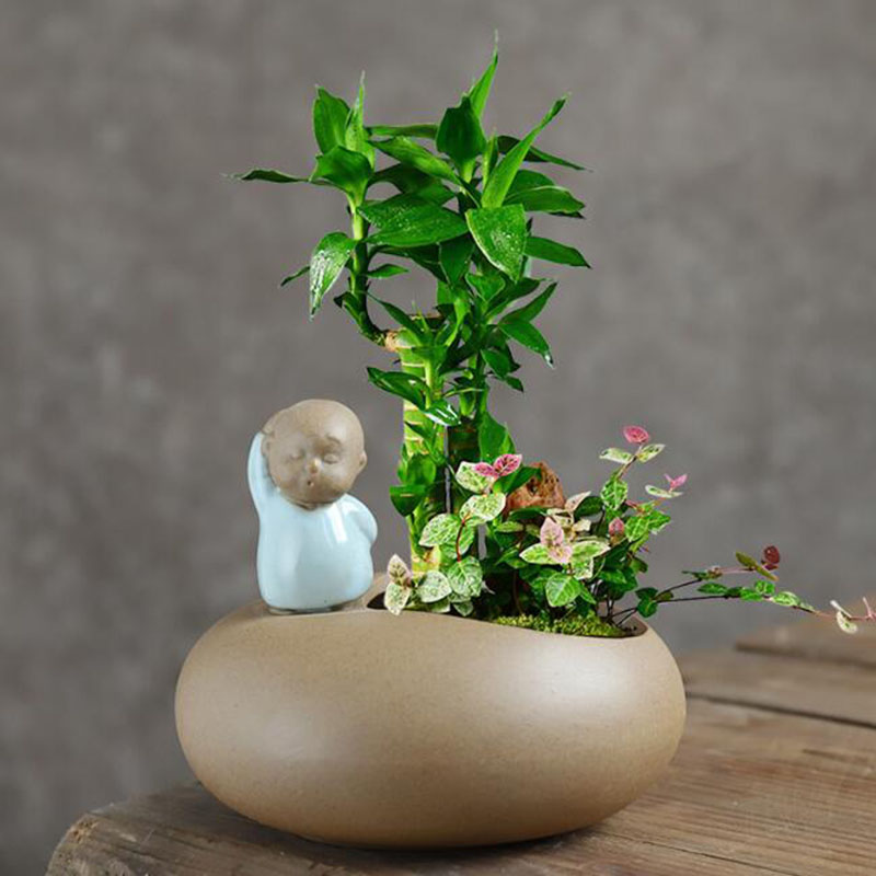 Chinese Style Retro Ceramic Mo - Bonsai Garden Art 评论和价格