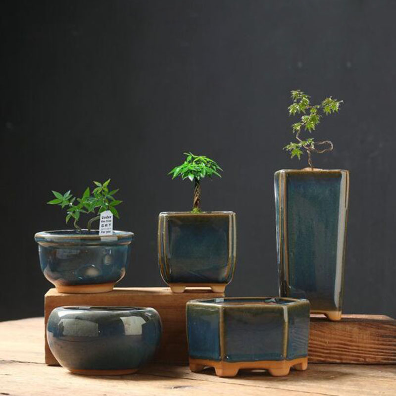 Kiln Transmutation Glazed Eggs - Bonsai Garden Art 评论和价格